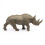 Papo Black Rhinoceros ?a????d??? F?????a? G??? 3