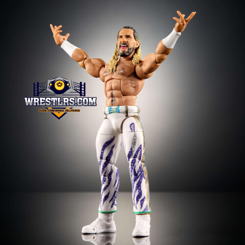 WWE Mattel WWE Elite Seth Rollins 1