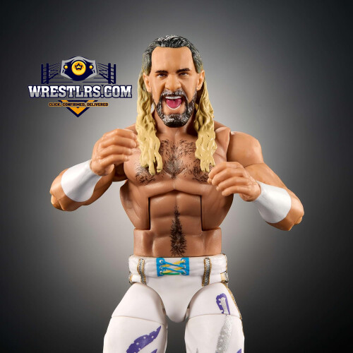 WWE Mattel WWE Elite Seth Rollins 2