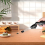 Spider Catcher Vacuum Handheld Bug Catcher Vacuum 5