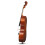 Full Side 4/4 Spruce Panel Cello Tiger pattern process w/ Bag Bow Rosin Bridge Strings 8
