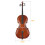 Full Side 4/4 Spruce Panel Cello Tiger pattern process w/ Bag Bow Rosin Bridge Strings 2