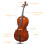 Full Side 4/4 Spruce Panel Cello Tiger pattern process w/ Bag Bow Rosin Bridge Strings 5