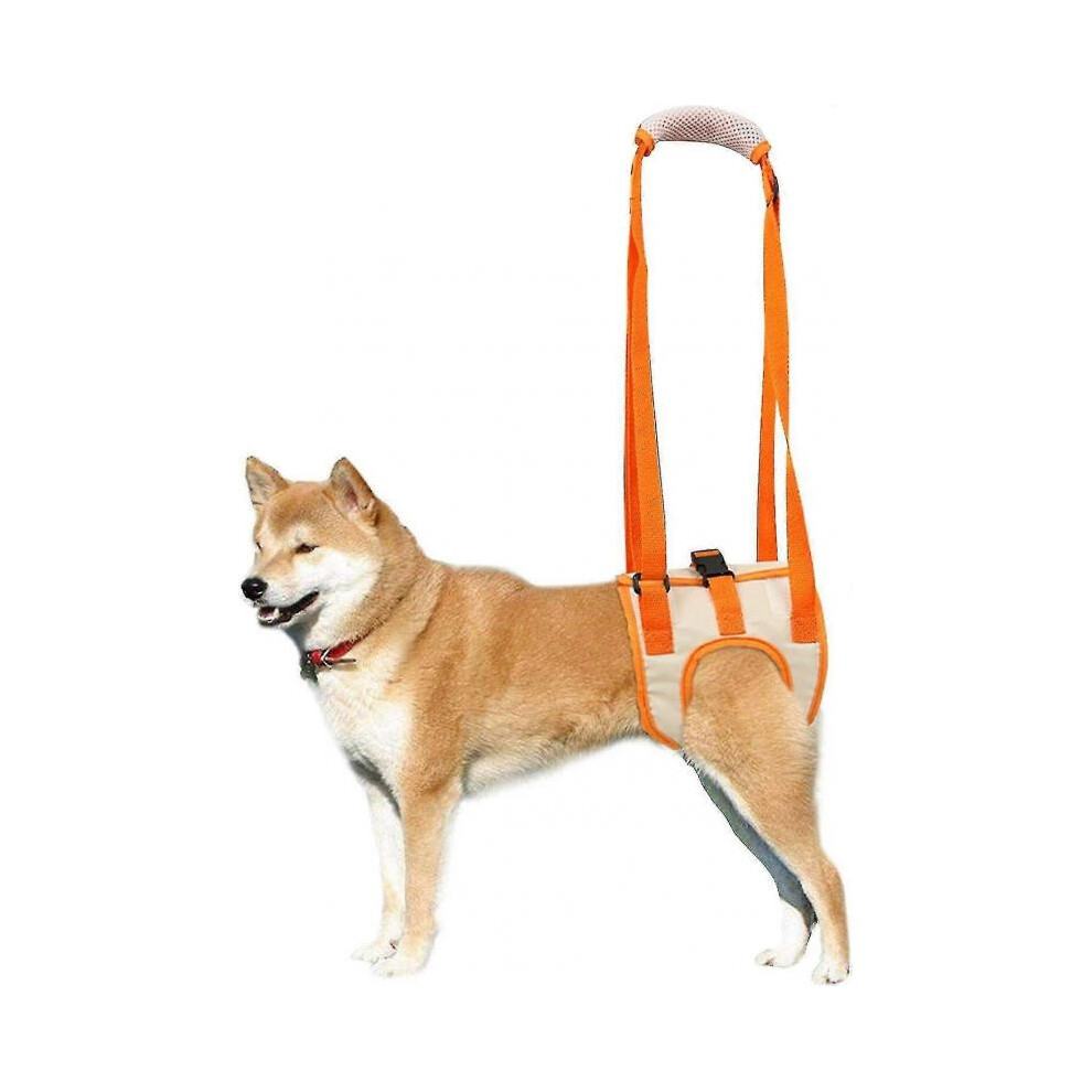 Dog lifting harness, veterinary rear support for old dogs, aids stability and mobility.