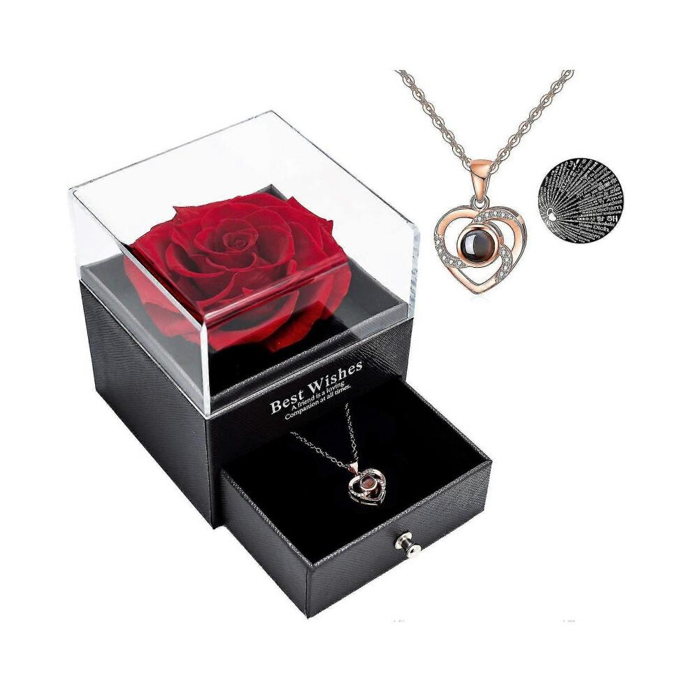 Preserved Real Rose with Love You Necklace In 100 Languages Gift Set