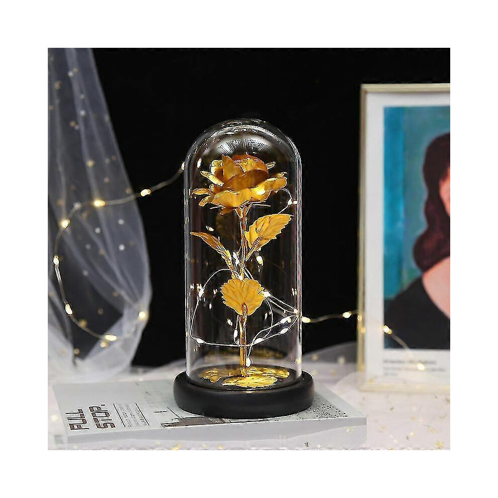 Eternal Roses Beauty And Animal Rose Kit In Glass Dome Led Lights Artificial Flowers Rose Gifts for Women Mum Gift