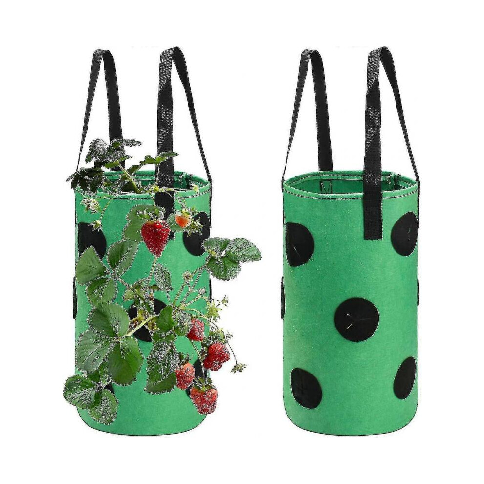 2pcs Strawberry Grow Bags 3 Gallon, Grow Pouches Plant Growing Hanger Bag