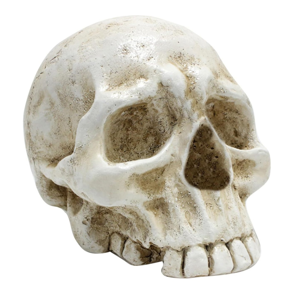 Jojomino Skull Decoration Skull, Day Of The Dead Human Resin Model Art