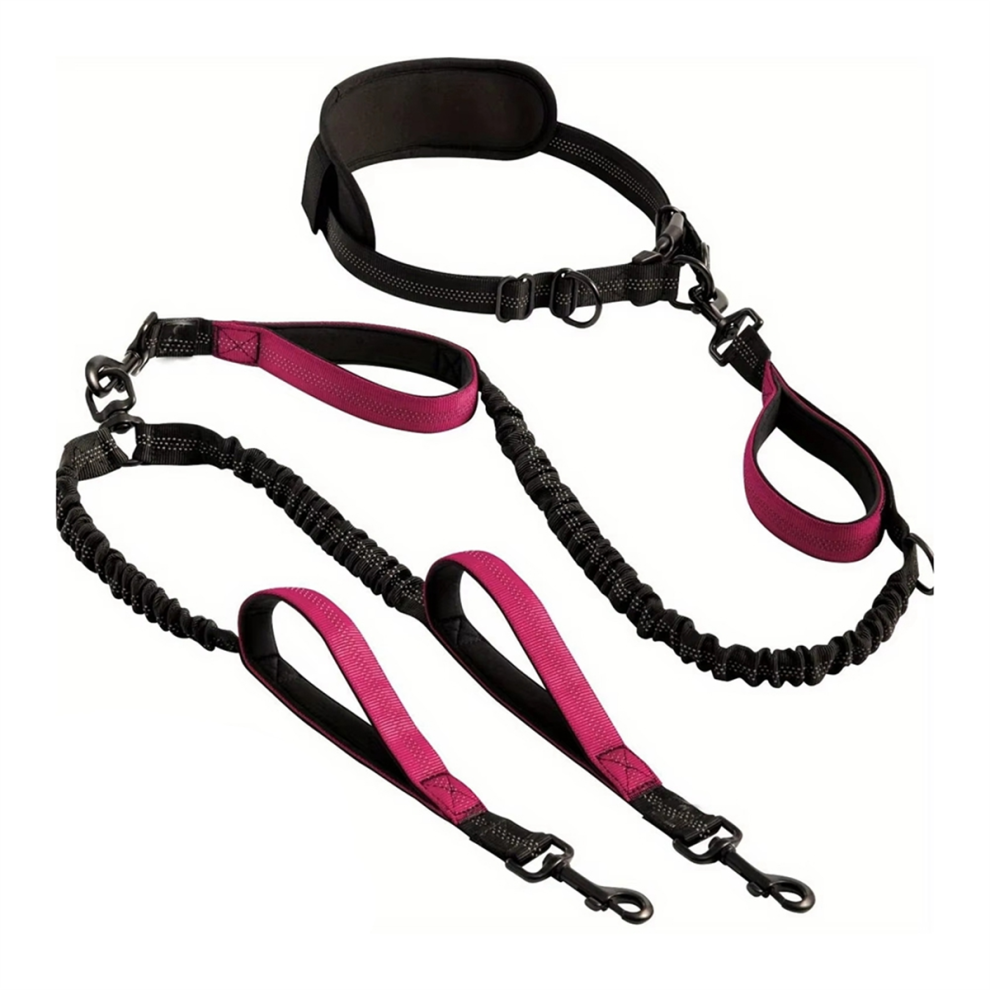 Laisse réfléchissante double pour 2 chiens, poignées rembourrées, taille M/L, entraînement, jogging, course à pied