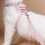 (blue, M) Cat Harness Leash Set Cats Escape Proof Cute Bee Plaid Lightweight Soft 5