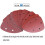 60 Pack Sanding Sheets, Sanding Paper 40/60/80/100/120/180/240/320/400/800 Ideal for Multi-Purpose Sander 2