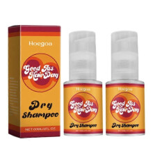 (2pcs) Fluffy Hair Powder Drying Spray Disposable Hair Fast Dry Powder Instant Oil Control Cleaning Unisex Styling Non-wash Spray