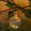 Hanging Solar Light Bulb Lantern Clear Garden Solar Warm White LEDs 1