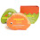 Spongelle Sponge Animals Spongeasaurus Collection Triceratops 1pc 3