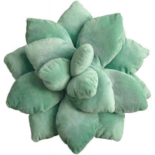3d Succulents Cactus Pillow, Cute Succulents, for Garden Or Green Lovers Baby Green Plant Throw Pillows