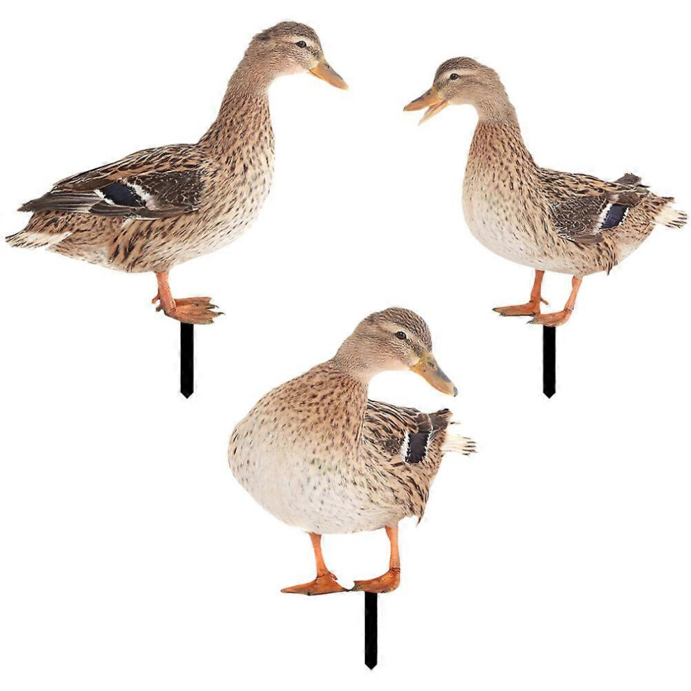 Kricely (As Show, One Size) 3Pcs Funny 3D Duck Ground Stake Decor Weatherproof Acrylic Duck Ornament Yard Stake Ornaments