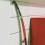Outsunny Outsunny 1.8-2.9 m Telescopic Tree Pruner, Tree Lopper Long Reach 9