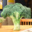 (Broccoli) Pineapple Lemon Apple Pomegranate Watermelon Mango Simulation Cushion Toy Sofa 1