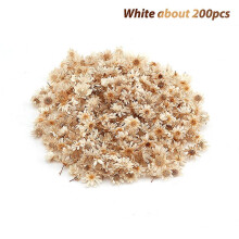 (200pcs, White) 200pcs Dried Flowers For DIY Epoxy Resin Candle Making Jewellery Glass Filler SHYTMV