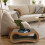 Actiaspet 2-in-1 Cardboard Cat Scratcher 10