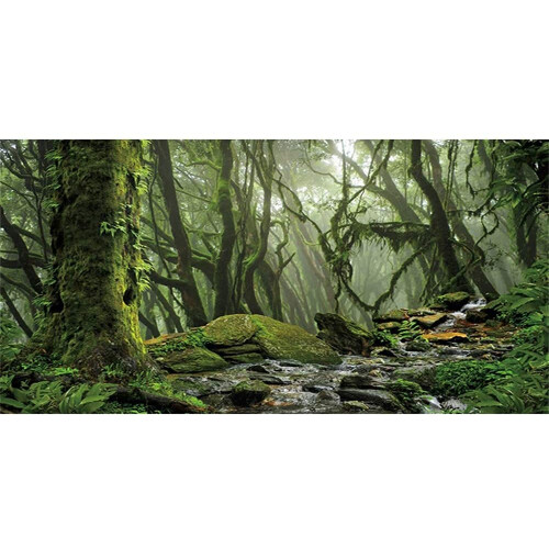 Fundo de Terrário Floresta Nebulosa Verde Grande Habitat de Répteis 30x12 polegadas 1