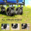 Outsunny Outsunny Outdoor Push Pull Wagon Stroller Cart w/ Canopy Top Blue 3