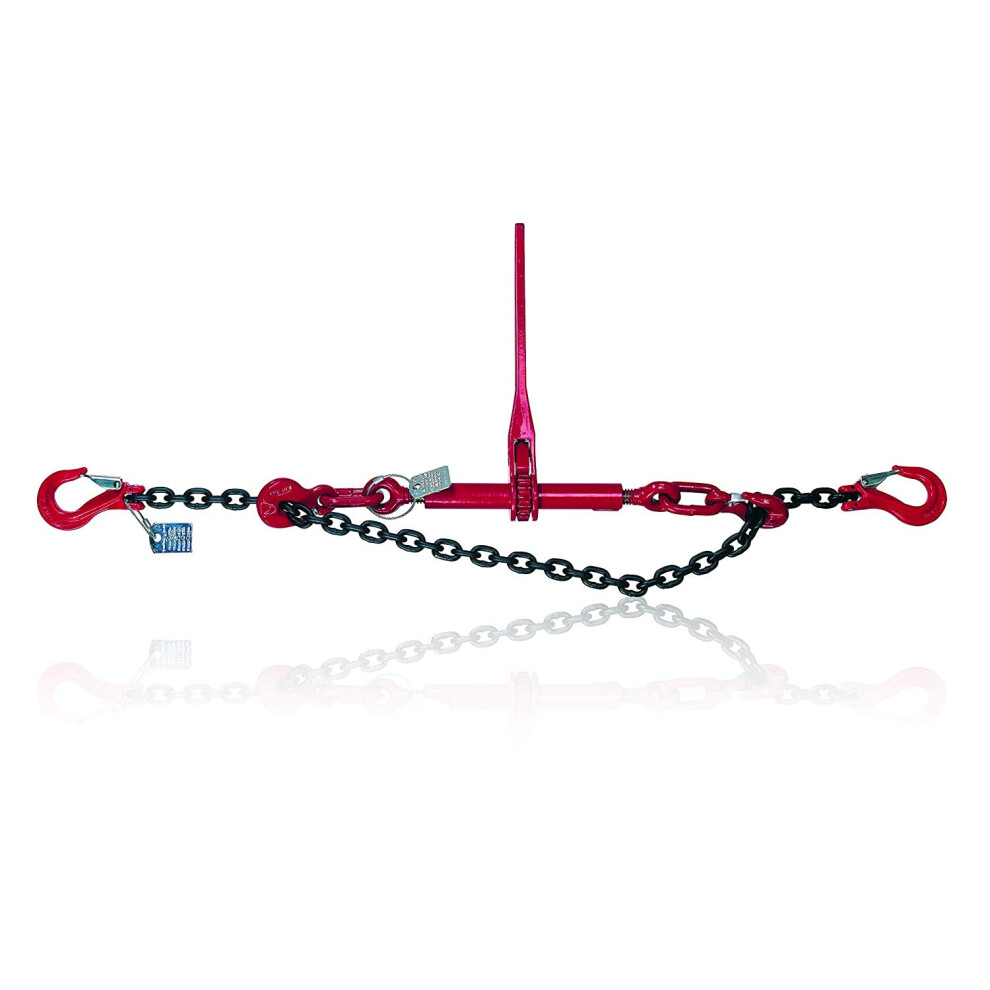 Dolezych Lashing Chain With Clevis Hooks And Ratchet Load Binder (With Shortening Hooks), 4000 Dan Direct Lashing Capacity, 3.00 M Length 5051219978517