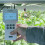 CO2 Meter for Greenhouse, Grow. Data Logger. NDIR Sensor. 2