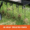 Agri-Fab AG45-0294 40-inch Working Width Spring-Tine Dethatcher - Black 4