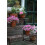 Esschert Bph33 79 x 66 x 49cm Etagere Rectangular Cast-Iron - Brown 3