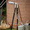 CK Tools C.K Classic C.k 5051 Legend Heavy Duty Edging Shears 4