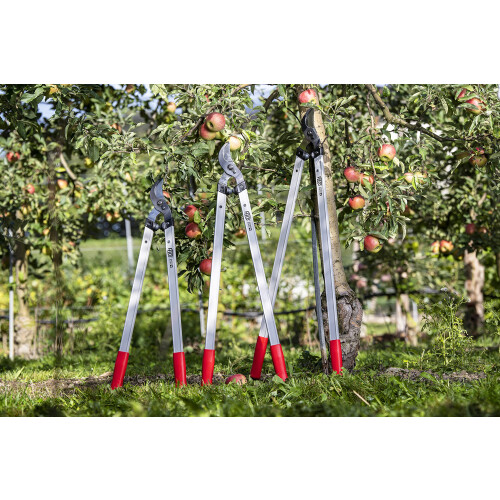 Felco Felco Model 221-70 Straight Head Loppers 1