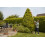Flymo Flymo EasiCut Reach 480 Electric Hedge Trimmer, Orange 3