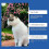 Yegbong Cat Mood Diffuser Suit Pet Cat Irritable Mood Care Solution Multi-Cat Conflict Scratching 4
