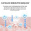 LuLuLun Pure Every Face Mask - 32 Sheets 2