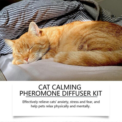 Yegbong Cat Mood Diffuser Suit Pet Cat Irritable Mood Care Solution Multi-Cat Conflict Scratching 2