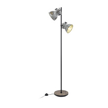 Eglo 49722 Barnstaple Floor Lamp in Used-Look Zinc
