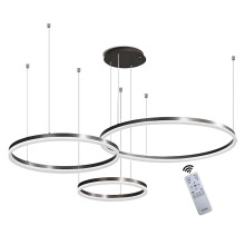 Metal LED Chandelier | 3 Circles 20+40+60cm | 45W Rings Ceiling Hanging Lamp, Dimmable Remote Control 3000-6000K, Acrylic Shade Pendant Light, Living