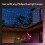 Philips Philips Hue Festavia String Lights - 20 Meter - 250 LED's 4