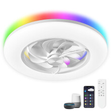 CHANFOK Neo Ceiling Fan with Light- 22 in Smart Low Profile Ceiling Fans with Alexa/Google Assistant/App Control 6 Speed Color Changing Ceiling Fan