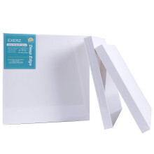 EXERZ 40x40cm Framed Canvas 3.8cm Deep Edge 4 Pack 3D, 380GSM Artist Pre-Stretched 100% Cotton Blank, Triple Primed, Acid Free, Medium Grain - Acrylic