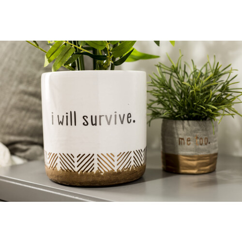 Cricut Smart Vinyl Matte Metallic ? Permanent (3.7 m) 2