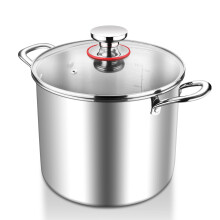 HaWare Large Stock Pot, 10L 25.5cm Tri-Ply Stainless Steel Soup Pot with Visible Lid for Pasta/Meat, Metal Cooking Induction Stockpot, Suit for All