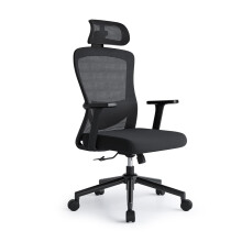 Eucladoceros Office Chairs,Ergonomic Desk Chairs with Adjustable Lumbar Support,2D Headrest & Armrest 120? Rocking High Back Mesh Executive Office