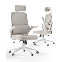 Hbada P1 Ergonomic Office Chair Desk Chair (Grey)