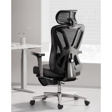 Hbada P5 Ergonomic Office Chair with Adjustable Headrest and Lumbar Support, Comfy Spring Seat Cushion Support Computer Chair Tilt Function Swivel