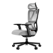 ProtoArc EC100 Ergonomic Office Chair - High Back Computer Desk Chair with 10cm Spring Cushion, Adaptive Lumbar Support, Adjustable Armrest&Headrest