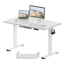 FLEXISPOT E1 Plus ONE PIECE Electric Standing Desk Height Adjustable Sit Stand Desk with Memory Smart Panel(120 * 60cm, White Frame+Maple Desktop)