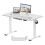 FLEXISPOT E1 Plus ONE PIECE Electric Standing Desk Height Adjustable Sit Stand Desk with Memory Smart Panel(120 * 60cm, White Frame+Maple Desktop) 1