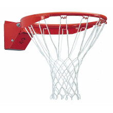 Sure Shot 277 Flex Basketball Hoop, Official Size